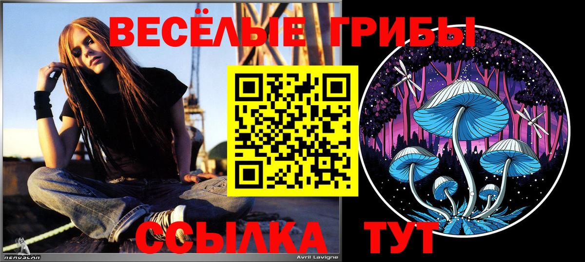 Галлюциногенные грибы Psilocybe Александров