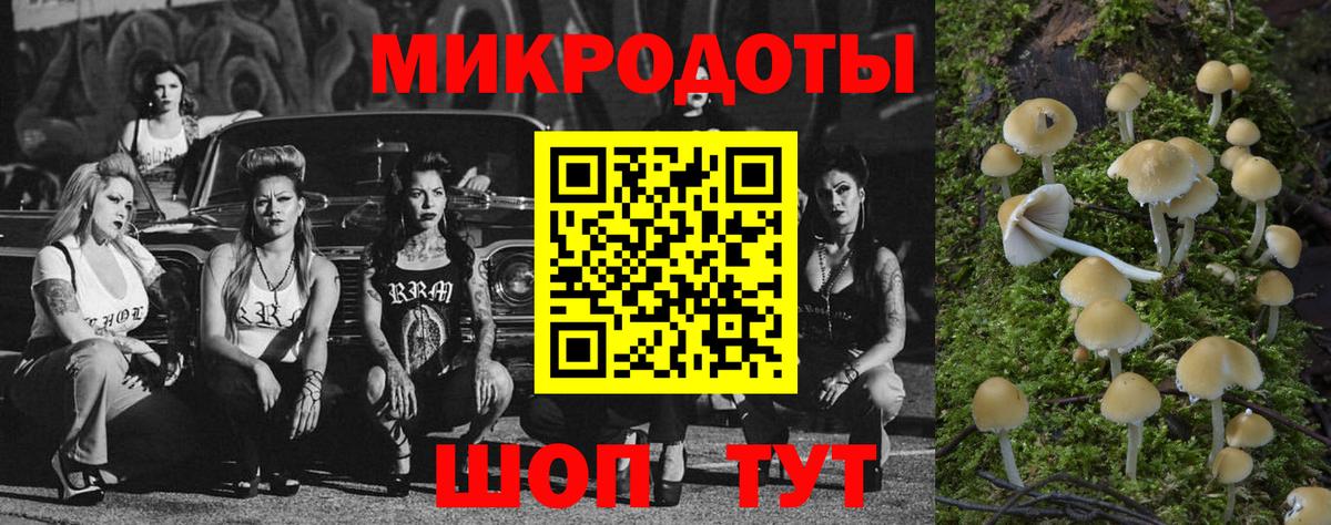 Александров  Галлюциногенные грибы MAGIC MUSHROOMS  Вход с VPN 